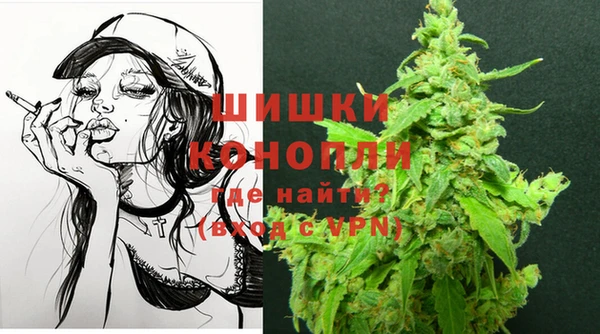 крисы Медвежьегорск