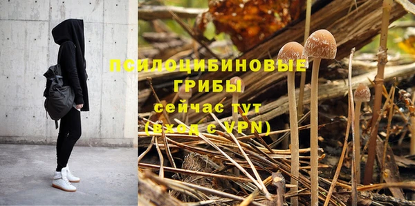 мдпв Медногорск
