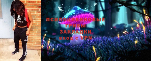 apvp Липки