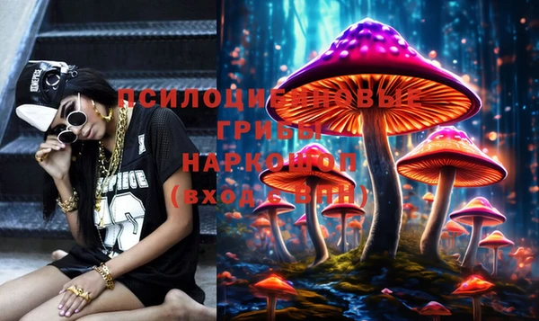apvp Липки