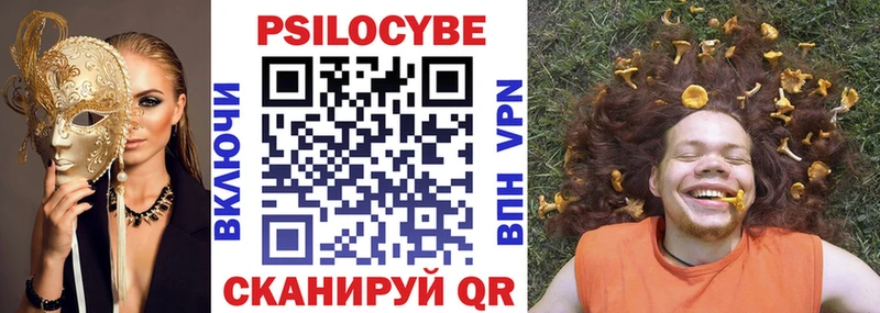 Купить закладки  Завитинск  Псилоцибиновые грибы Magic Shrooms 